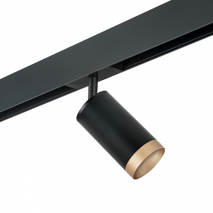 Светильник на штанге lightstar rullo pro43740
