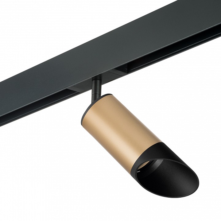 Светильник на штанге lightstar rullo pro44037