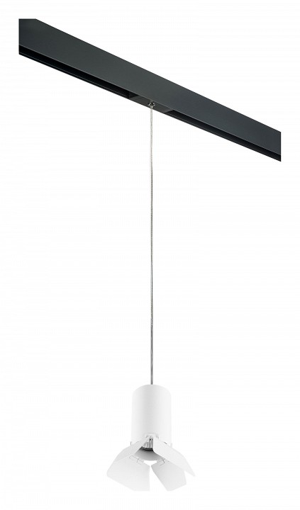 Подвесной светильник lightstar rullo prorp436436