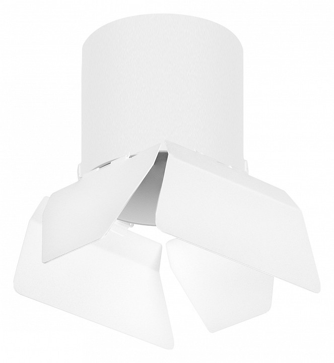 Накладной светильник lightstar rullo r3486486
