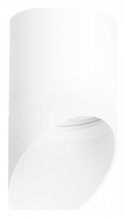 Накладной светильник lightstar rullo r348686