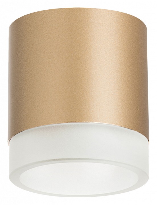 Накладной светильник lightstar rullo r349080