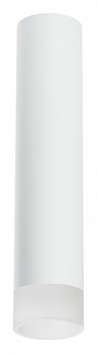Накладной светильник lightstar rullo r49631