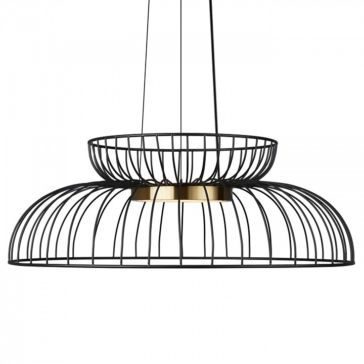 Подвесной светильник freya citrus fr5398pl-l6b