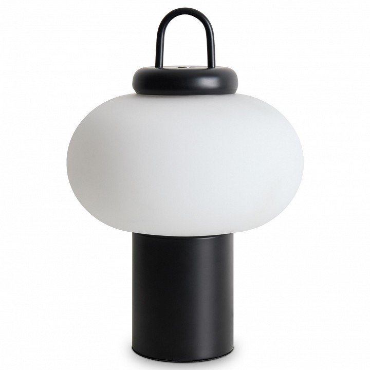 Настольная лампа декоративная freya take fr6175tl-l10b