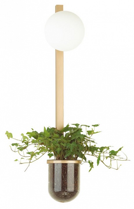 Бра odeon light flower 4682/1wb