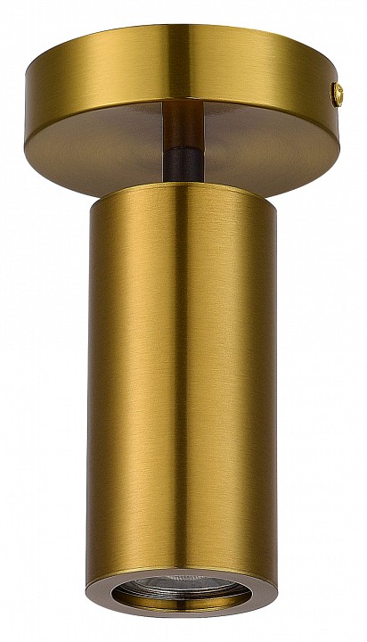 Светильник на штанге st-luce talia sl1215.402.01