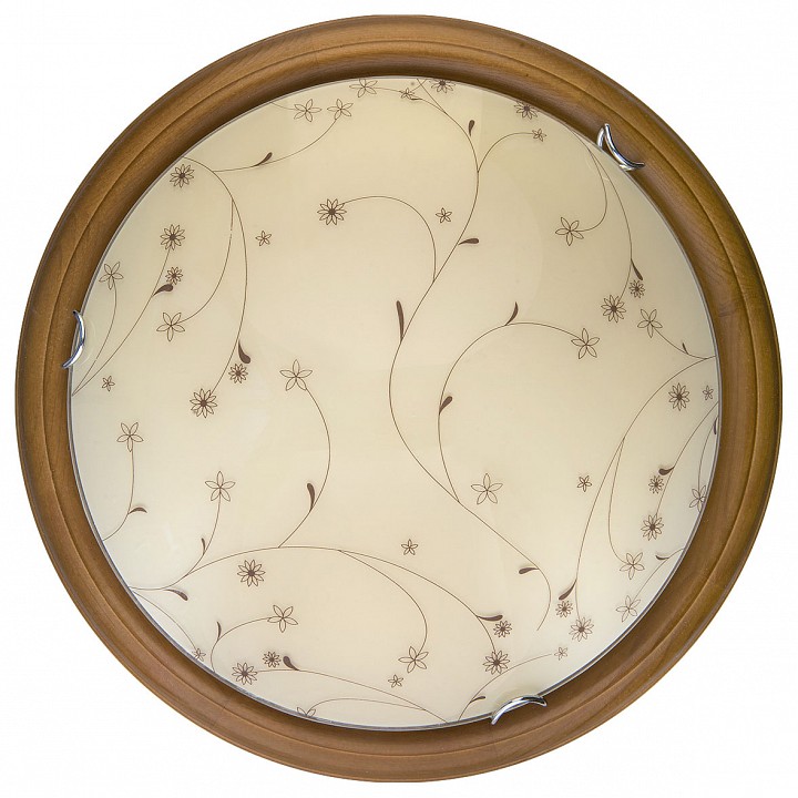 Накладной светильник toplight karissa tl9650y-00oa