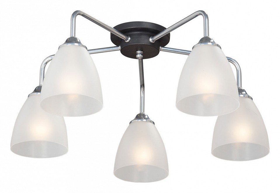 Потолочная люстра vitaluce v4500 v4500-9/5pl