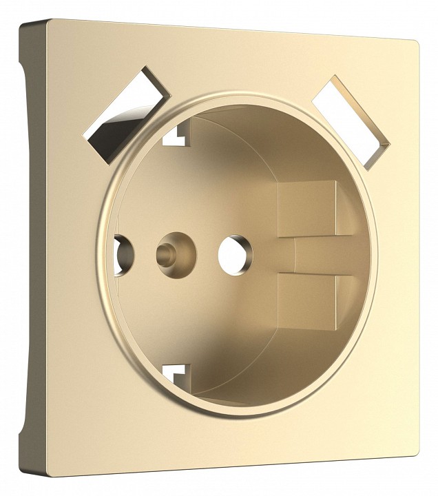 Накладка для розетки с заземлением и 2хusb werkel шампань w1179511