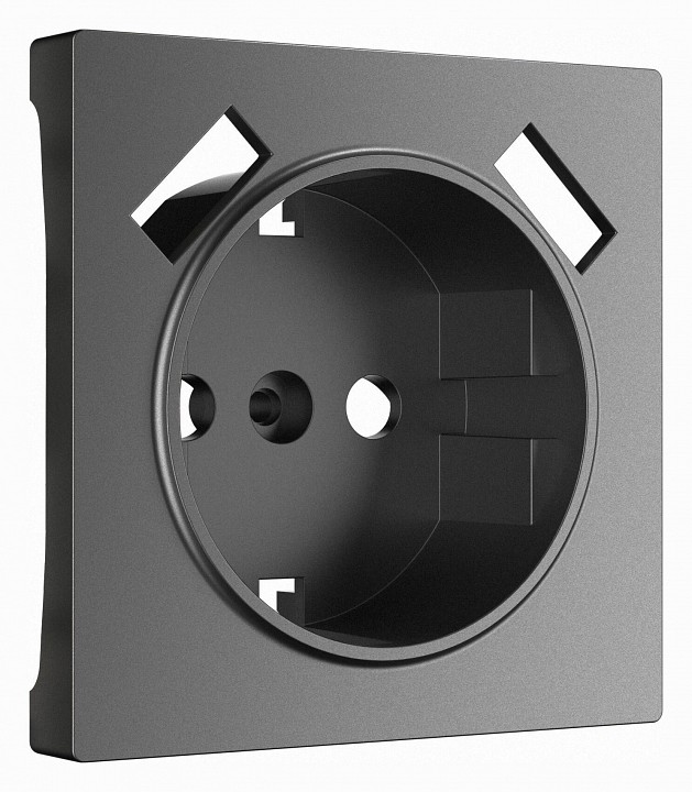 Накладка для розетки с заземлением и 2хusb werkel графит матовый w1179564