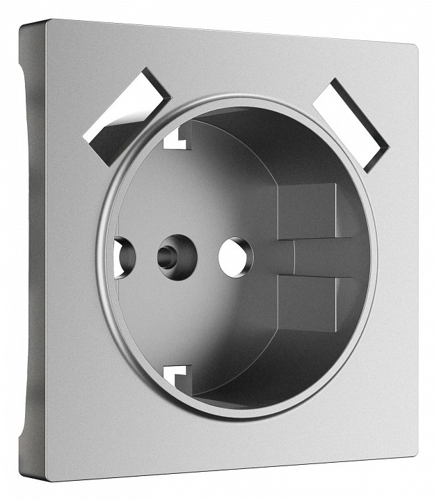 Накладка для розетки с заземлением и 2хusb werkel серебряный матовый w1179565