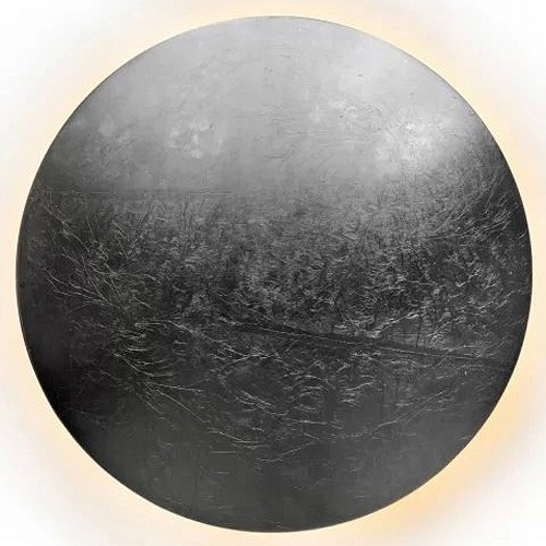 Накладной светильник iledex lunar zd8102-12w silver