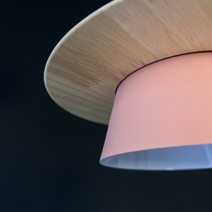 Подвесной светильник imperiumloft eco eco1