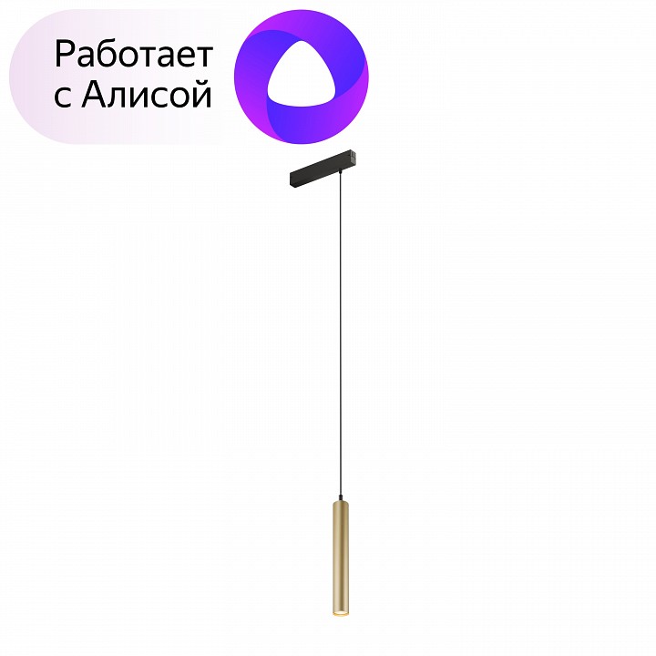 Подвесной светильник denkirs smart dk8008-bg