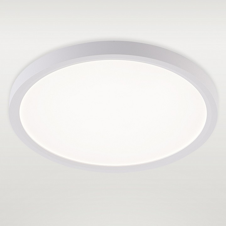 Накладной светильник natali kovaltseva plain led lamps 81113/2c