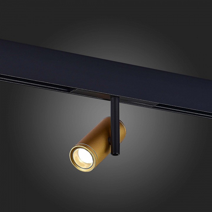 Светильник на штанге st-luce st808 st808.246.08