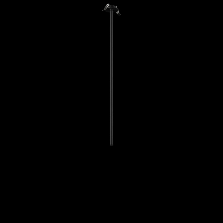 Встраиваемый светильник на штанге loft it cane 10359/800 black