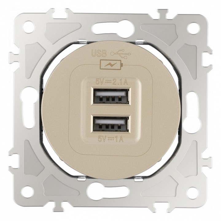 Розетка usb, Без рамки arte milano am-202 202.46-1.shampan