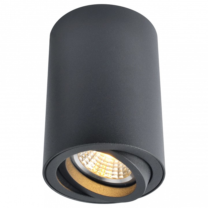 Накладной светильник arte lamp sentry a1560pl-1bk
