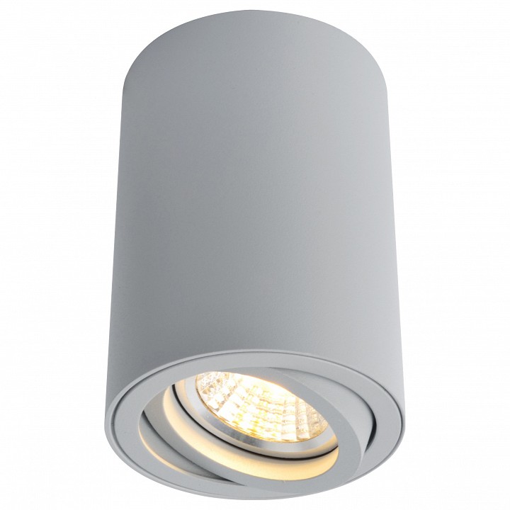 Накладной светильник arte lamp sentry a1560pl-1gy