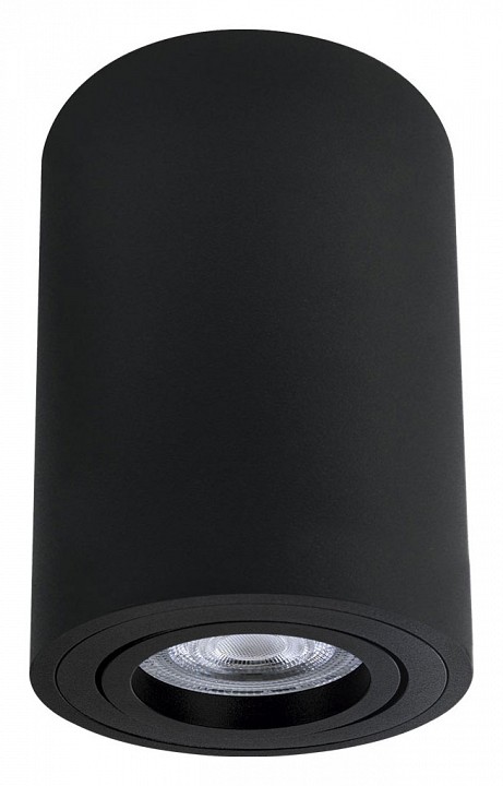 Накладной светильник arte lamp sentry a1566pl-1bk