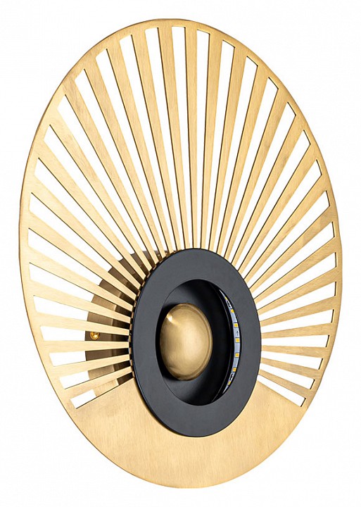 Накладной светильник arte lamp biscotto a2641ap-1go
