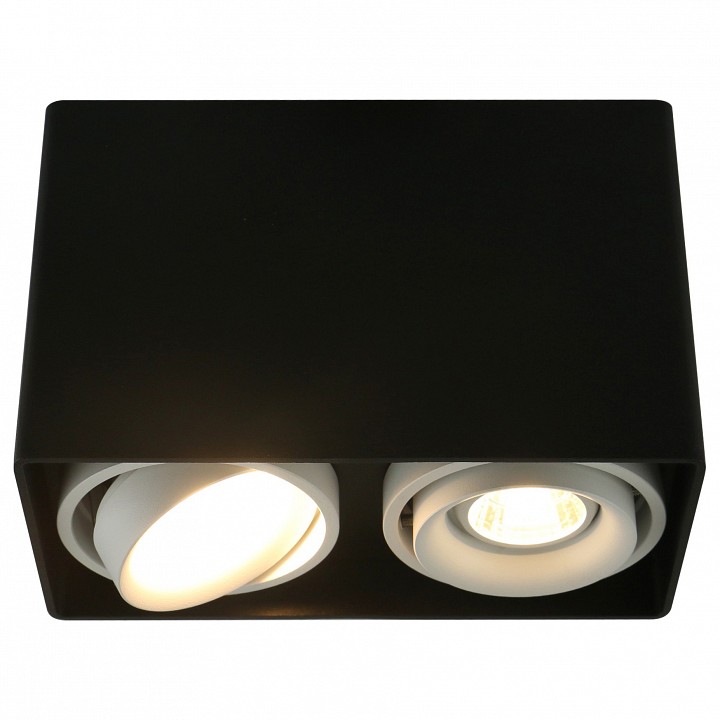Накладной светильник arte lamp 5655 a5655pl-2bk