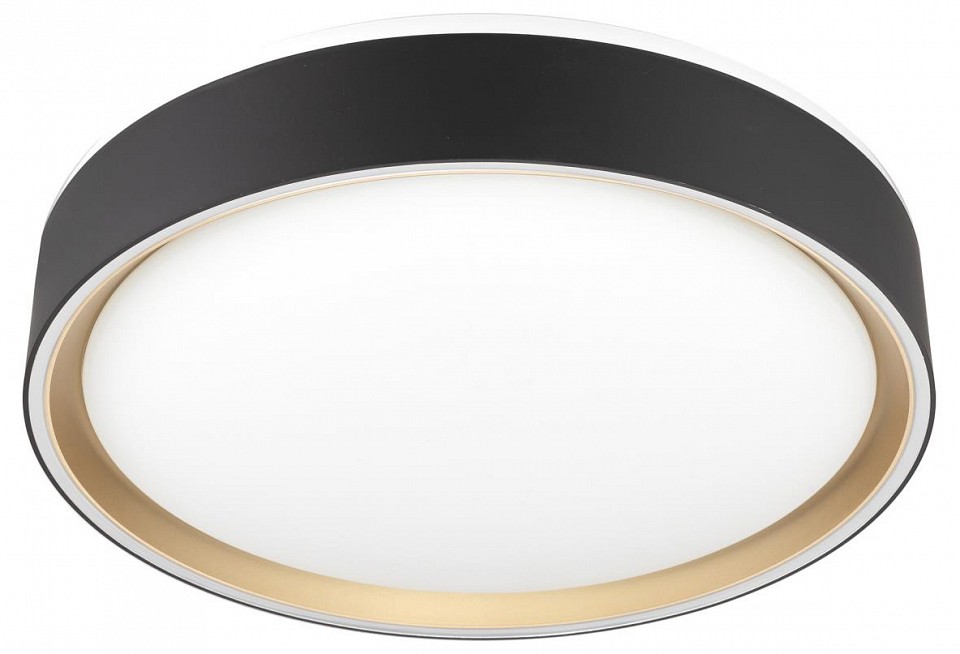 Накладной светильник citilux boss cl751251g