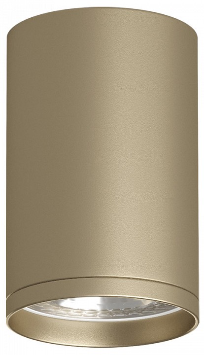 Накладной светильник denkirs tube dk2050-sg