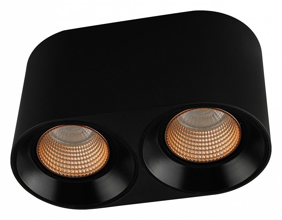 Накладной светильник denkirs dk3040 dk3096-bk+br