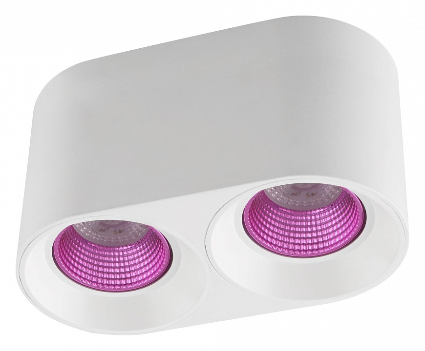 Накладной светильник denkirs dk3020wpi dk3096-wh+pi