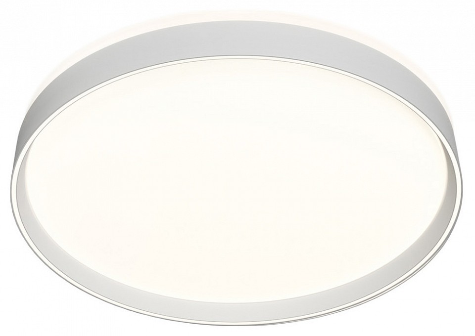 Накладной светильник denkirs plato dk6511-wh/1