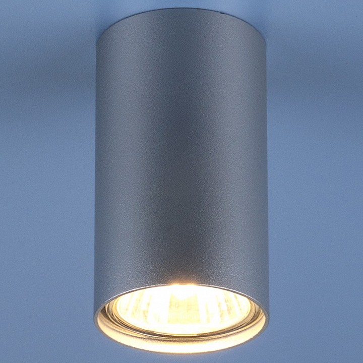 Накладной светильник elektrostandard 1081 a037714