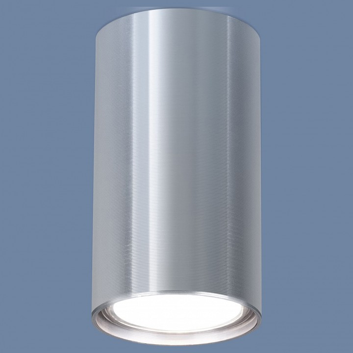 Накладной светильник elektrostandard 1081 a038491
