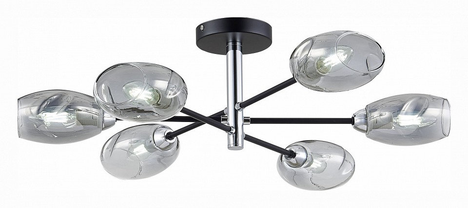 Люстра на штанге evoluce gloa sle155512-06
