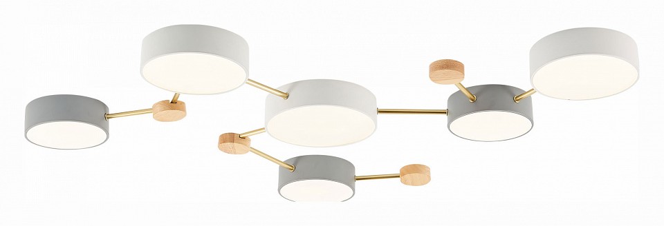 Накладной светильник evoluce dossena sle600102-06