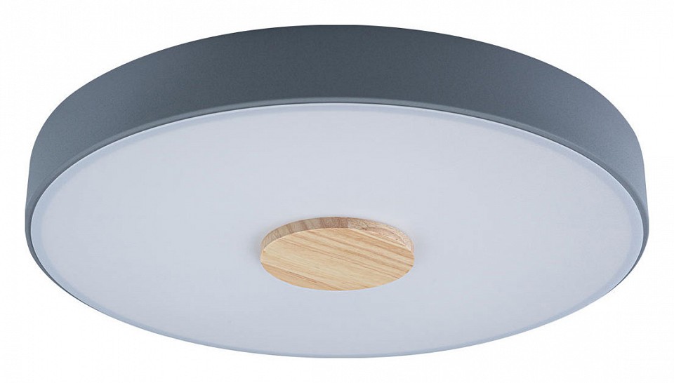 Накладной светильник loft it axel 2 10003/24 grey