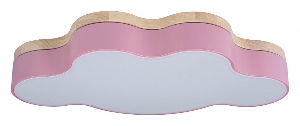 Накладной светильник loft it axel 4 10005/30 pink