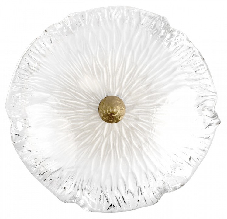 Накладной светильник loft it bloom 10352w/b ab