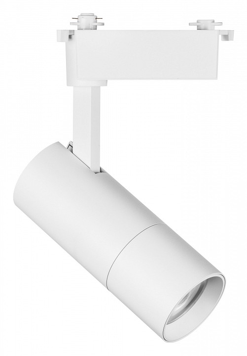 Светильник на штанге lightstar volta 229246