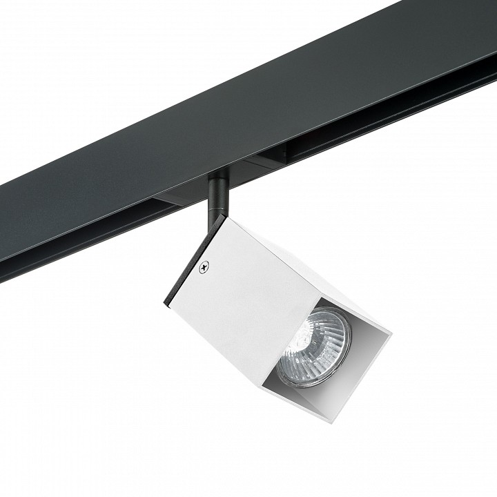 Светильник на штанге lightstar rullo pro216336