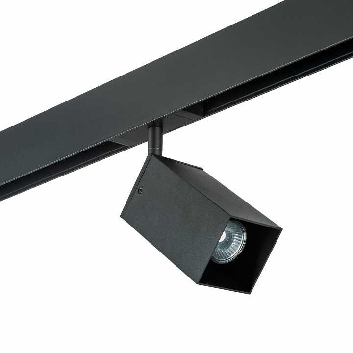 Светильник на штанге lightstar rullo pro216587