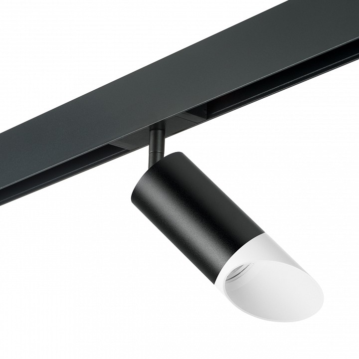 Светильник на штанге lightstar rullo pro43736