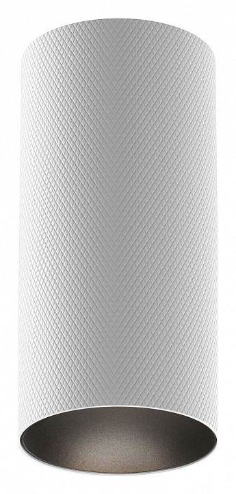 Накладной светильник maytoni technical artisan c080cl-01-gu10-w