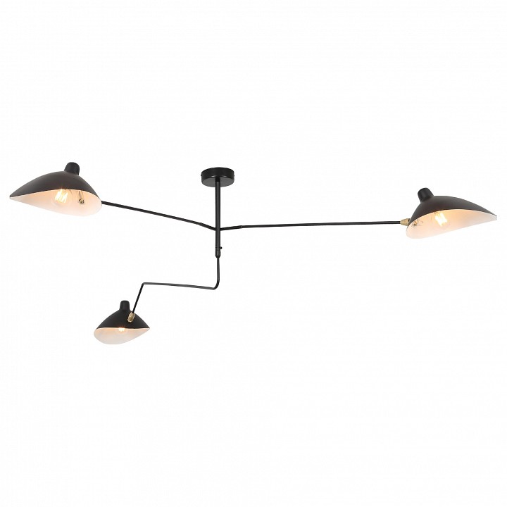 Люстра на штанге st-luce spruzzo sl305.402.03