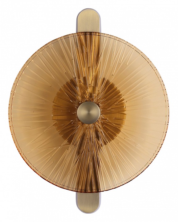 Накладной светильник st-luce wasi sl6141.311.01