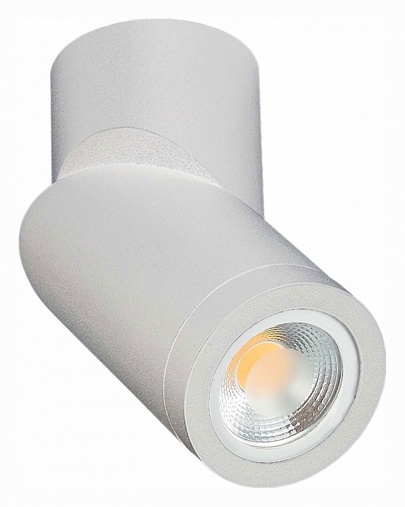 Светильник на штанге st-luce st650 st650.502.01