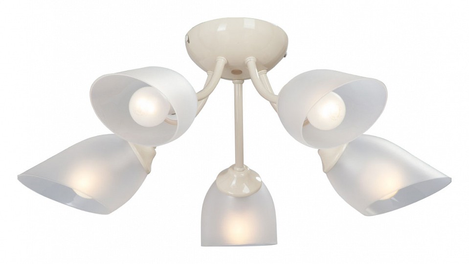 Потолочная люстра vitaluce v3405/5pl