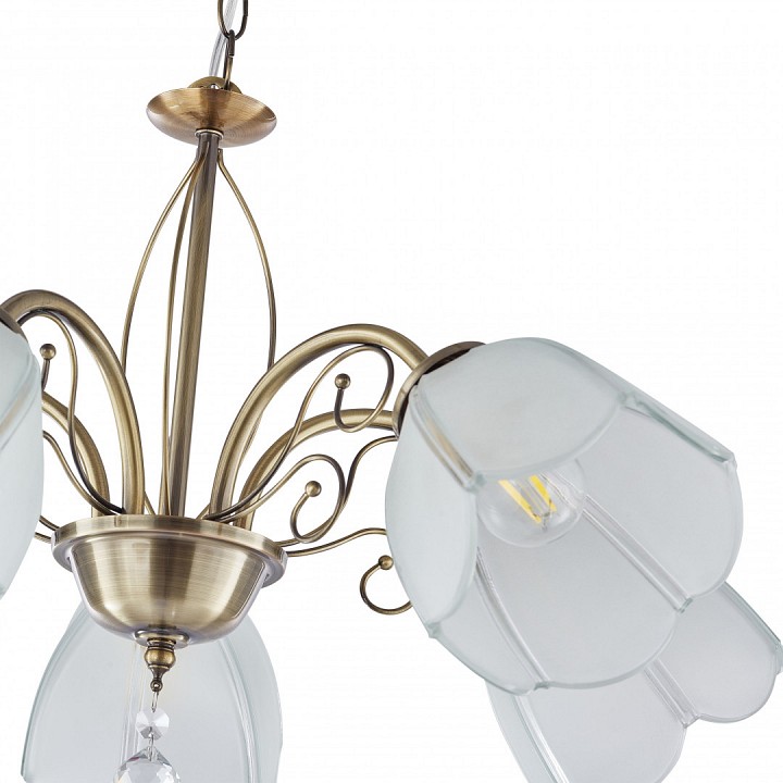 Подвесная люстра arte milano amalfi-2656 332656/5 ab